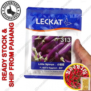 Leckat GWG 313 323 Seed Seeds Benih 2G 10G 2000 Biji Terung Terong Mini Panjang Purple Bride F1 Hybrid Eggplant เจ้าสาว