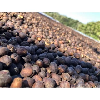 !! DRY PROCESS!! เมล็ดกาแฟอราบิก้า 100% คั่วอ่อน/คั่วกลาง/คั่วเข้ม/คั่วเข้มมาก บรรจุถุงซิปล็อคติดวาล์ว 250 กรัม