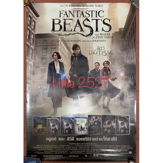 โปสเตอร์ : Fantastic Beasts / สัตว์มหัศจรรย์และถิ่นที่อยู่ (60x100 ซ.ม)