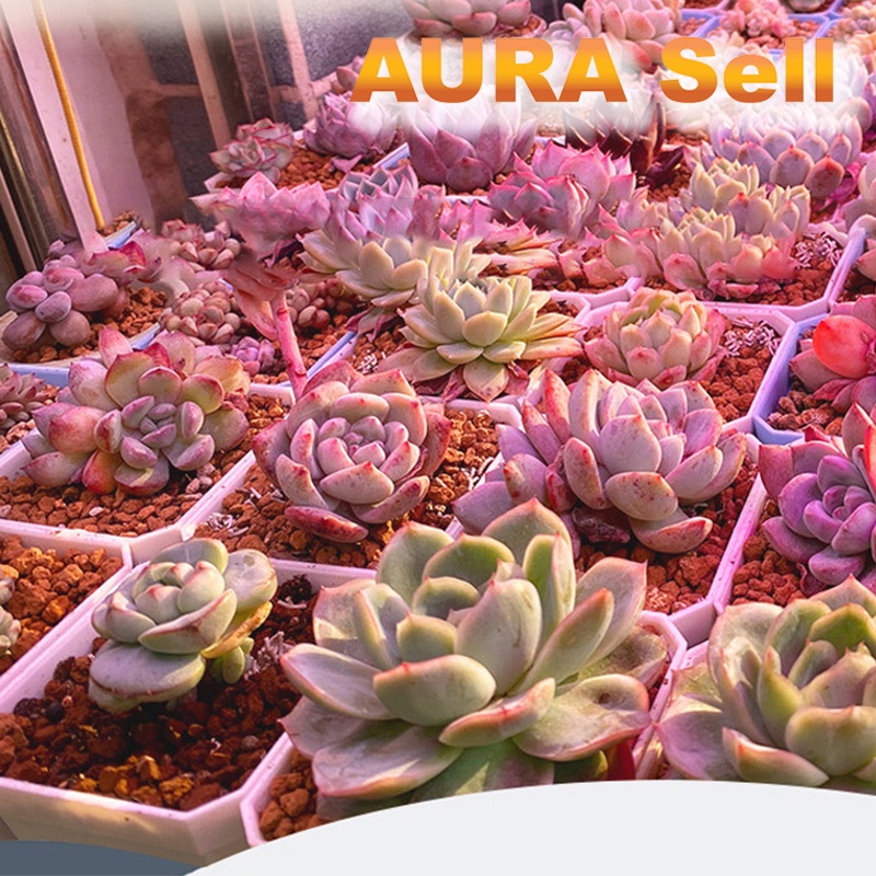 ไฟเลี้ยงต้นไม้ ในตึก เร่งโต 5V ความยาว5M กันน้ำได้มีกาวในตัว  ใช้ปลูกต้นไม้ เร่งโต ในที่ไม่มีแสงอาทิตย์ - รูปที่ 3