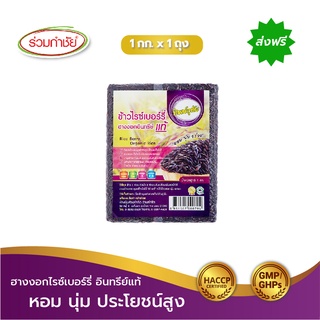 [ส่งฟรี] ร่วมกำชัย ข้าวไรซ์เบอร์รี่ ฮางงอก อินทรีย์แท้ ทิพย์อุทัย ขนาด 1 กก. แพ็ค 1