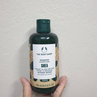 พร้อมส่ง The body shop Shea shampoo 250ml แชมพูบำรุงเส้นผมที่แห้งเสียผ่านการทำสีผม ช่วยให้ผมนุ่มลื่นมีน้ำหนัก