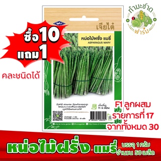 (ซื้อ10แถม1) เมล็ดพันธุ์ หน่อไม้ฝรั่ง แมรี่ Asparagus mary ประมาณ 50เมล็ด เจียไต๋ เมล็ดพันธุ์พืช เมล็ดพันธุ์ผัก