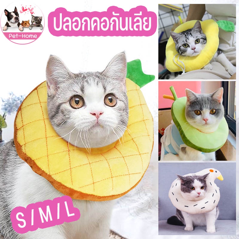 #ปลอกคอสัตว์เลี้ยง #ElizabethCollar #ปลอกคอสัตว์เลี้ยงป้องกันการกัด #ปลอกคอนุ่มสบาย #สุขภาพสัตว์เลี้ยง