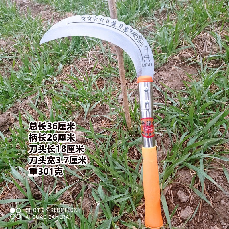 My Image 35