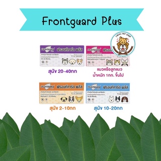 Frontguard Plus สำหรับสุนัขและแมว ยาหยอดเห็บ กำจัดเห็บหมัดหมาแมวฟรอนท์การ์ด