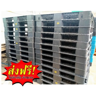 Plastic Pallet พาเลทพลาสติก ส่งด่วน ส่งฟรีทั่วประเทศ