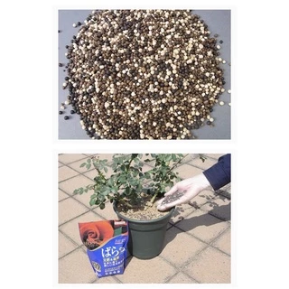 ❗️พร้อมส่ง❗️ปุ๋ยบำรุงกุหลาบ my rose ขนาด 700 g