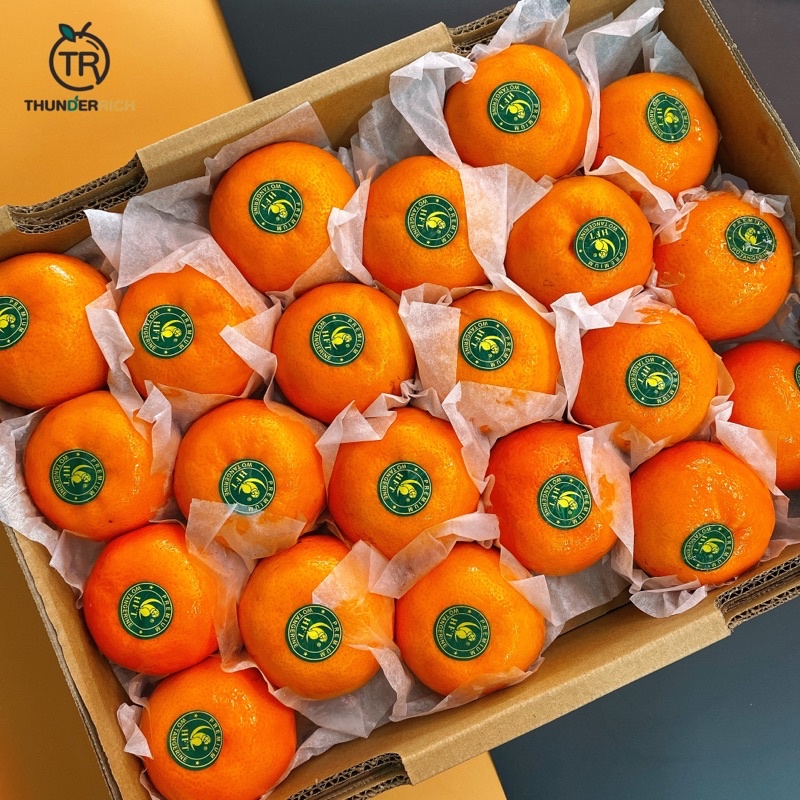 ส่งฟรี‼️สินค้าเข้าใหม่ 11/7/69‼️ Mandarin Orange (Taiwan)🍊🦜ส้มแมนดารินไต้หวันนกแก้ว WO Tangerine🛳️