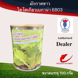 เมล็ดพันธุ์ ผักกาดขาวไดโตเกียวเบกาน่า 6803 100g