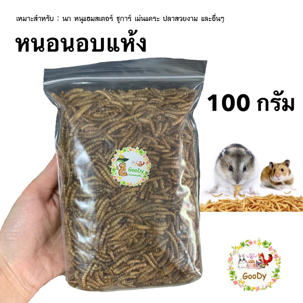พร้อมส่ง หนอนอบแห้ง 100 กรัม/gram Goody Dried mealworms