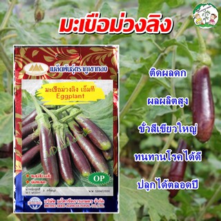 เมล็ดมะเขือม่วงลิง เอ็มที (Eggplant) เมล็ดมะเขือยาวม่วง เมล็ดพันธุ์มะเขือ มะเขือม่วงลิง ตราภูเขาทอง