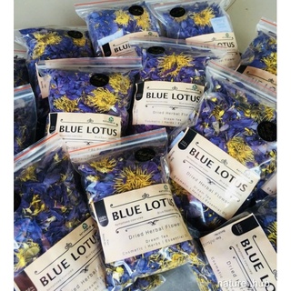 ต้นไม้ ดอกไม้ เมล็ด บัว ดอกบัว อียิปต์ นำเข้าUK 10 BLUE WATER LILY Pad Nymphaea Caerulea Asian Lotus Flower Pond Seeds