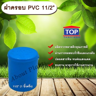 ฝาครอบ PVC ตรา TOP 11/2”(1นิ้วครึ่ง) ฝาครอบท่อPVC ขนาด 1นิ้วครึ่ง ตัวอุดท่อ ฝาปิดท่อพีวีซี allaboutplants