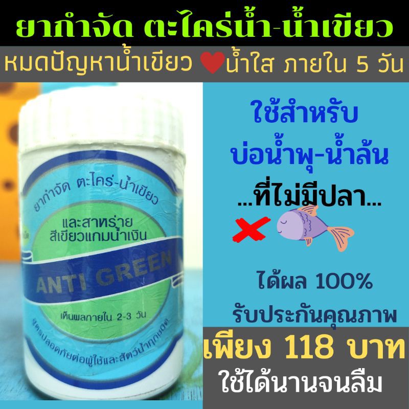 My Image 6