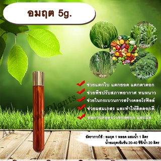 อมฤต 5g. สารเพิ่มพลังงานพืชโมเลกุลใหม่ ชนิดผง พืชทนทานต่อความแปรปรวนของสภาพอากาศ สร้างคลอโรฟิลล์ เกสรตัวผู้แข็งแรง