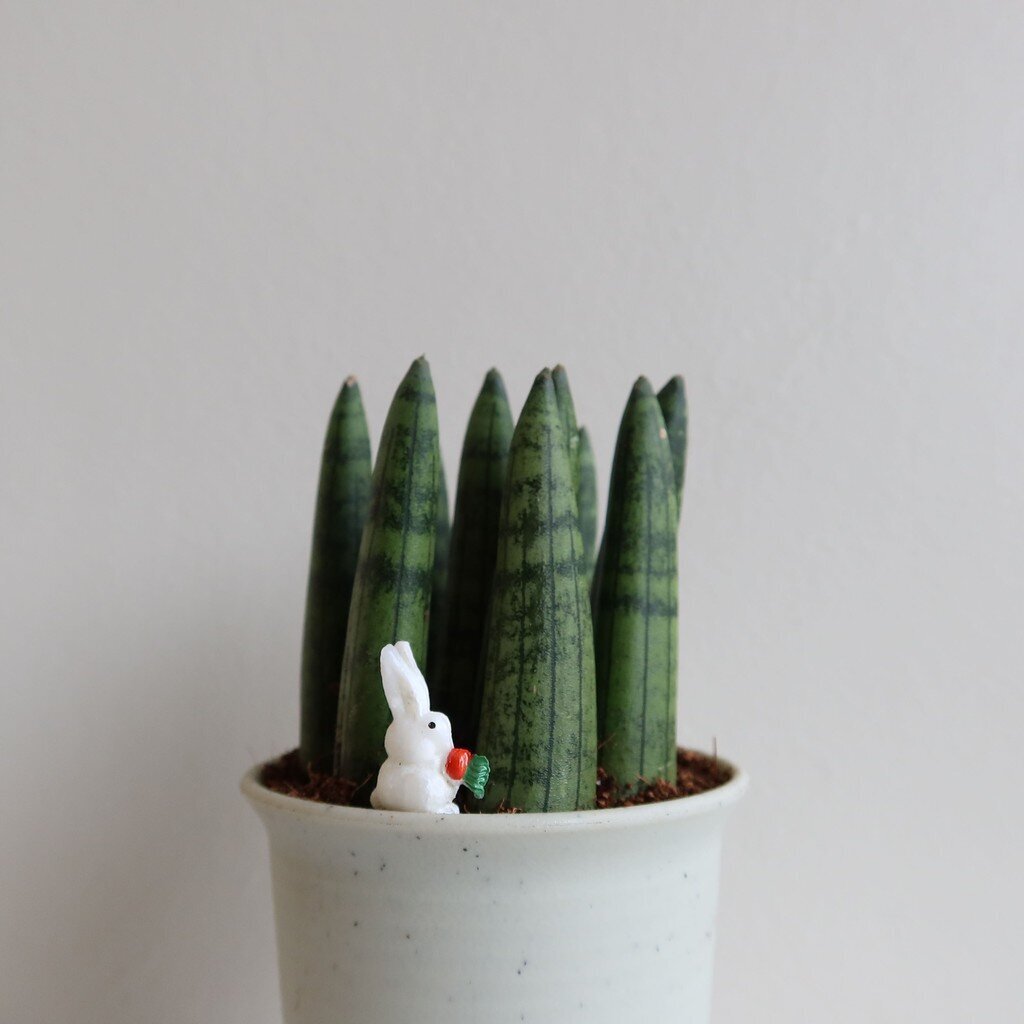 มุมมอง 3