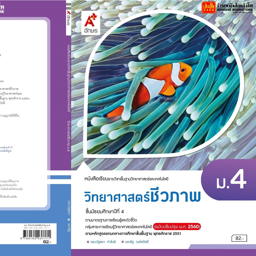 My Image 39