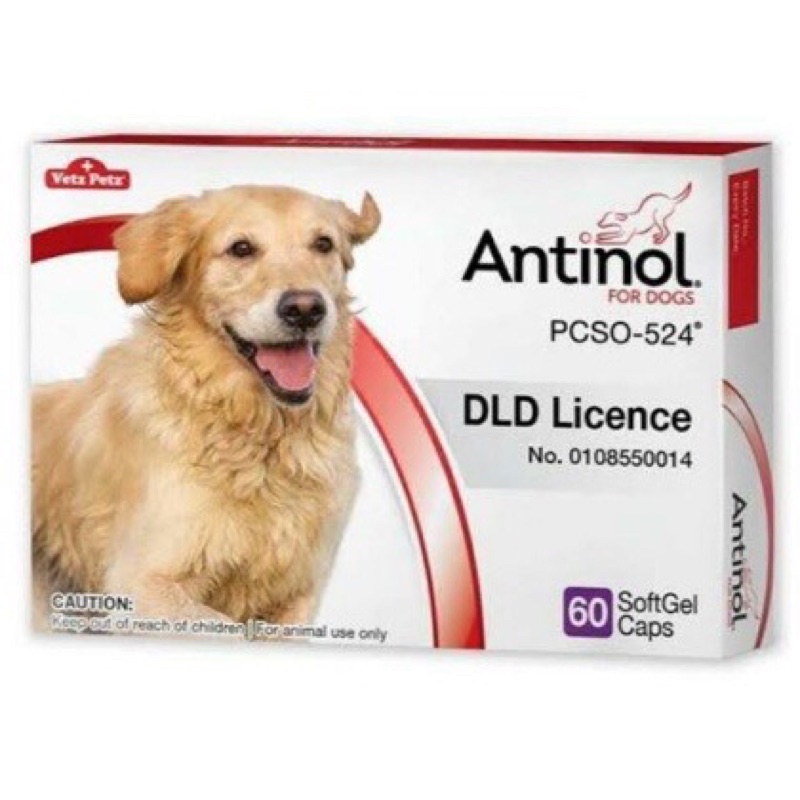 Antinol DOG 60 แคปซูล อาหารเสริม บำรุงข้อสุนัข ข้ออักเสบ 1 กล่องบรรจุ 60 เม็ด จัดส่งกลางเดือนสิงหาคม （60 ชิ้น)