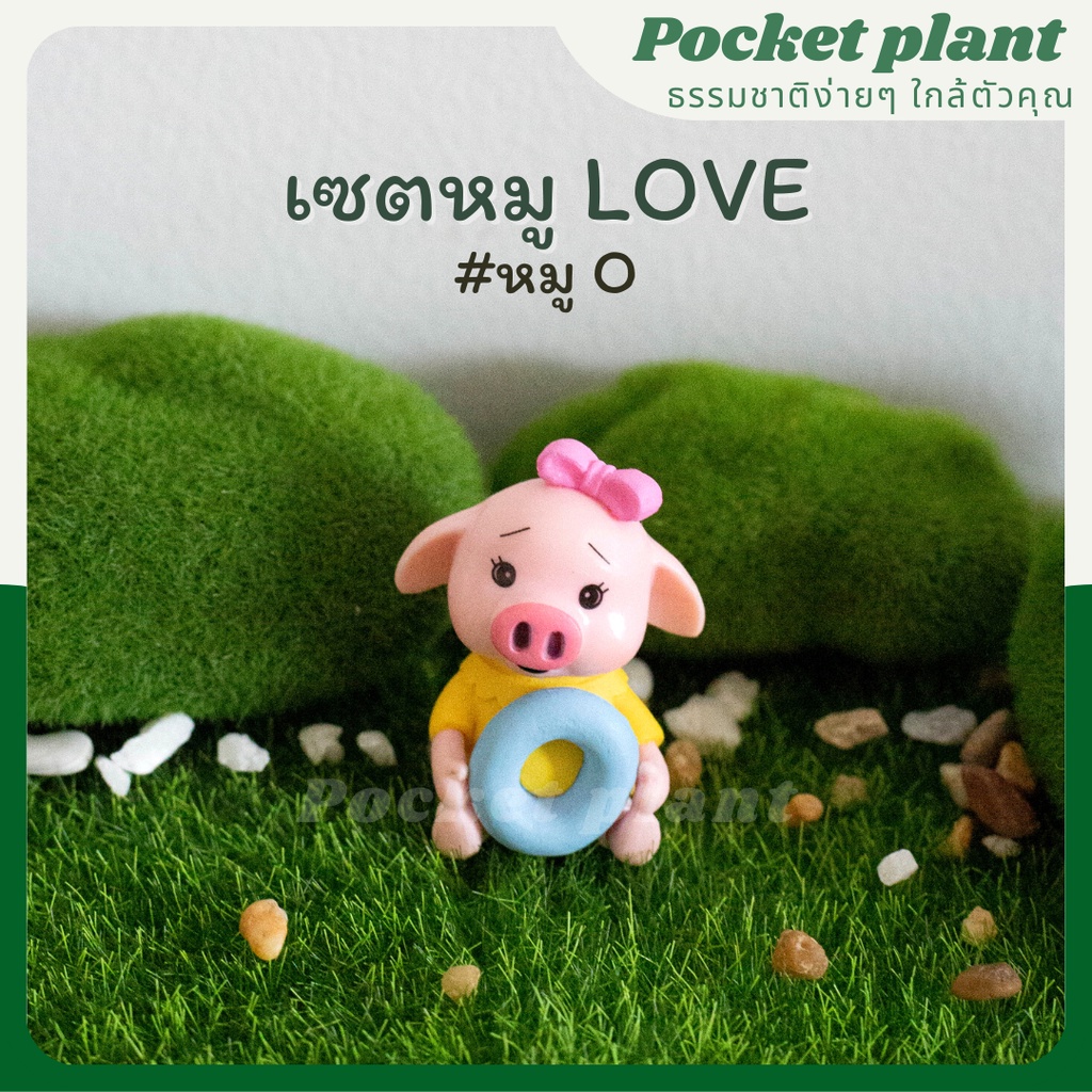 มุมมอง 4