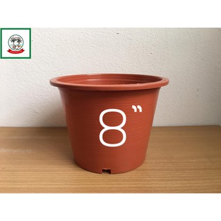 กระถางต้นไม้สีส้ม/กระถางต้นไม้พลาสติกสีส้ม/Orange flower pot/Plant pot  8 inch