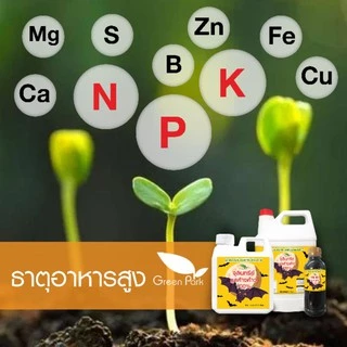 จุลินทรีย์ มูลค้างคาว 100% ขนาด 1 ลิตร น้ำหมักมูลค้างคาว เข้มข้น คุณภาพสูง ตา ดอก ผล ดก น้ำหมัก ชีวภาพ ปุ๋ยน้ำ อีเอ็ม em