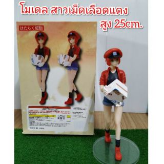 โมเดล สาวเม็ดเลือดแดง ( ตัวใหญ่ ) ขนาดสูง 25 cm. ราคา 499 บาท. งานเกรดA