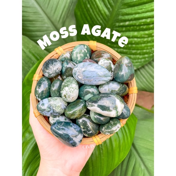 MOSS AGATE - GROSS AGATE