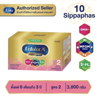 (เงินคืน 15% 15CCBSEPW3 )Enfalac A+ ( 2 ) MIND PRO 2’-FL เอนฟาแลค มายด์โปร **ขนาด 3,800 กรัม**