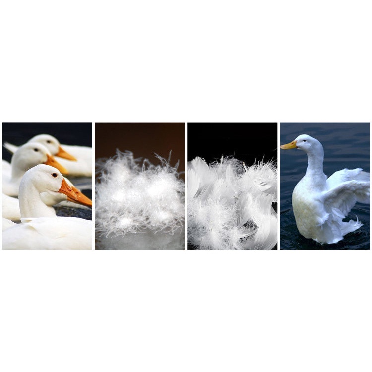 ผลิตภัณฑ์อย่างเป็นทางการLagabogy 2022 New Autumn Winter Coat Women Ultra Light White Duck Down Parka Short Loose Puffer  #4