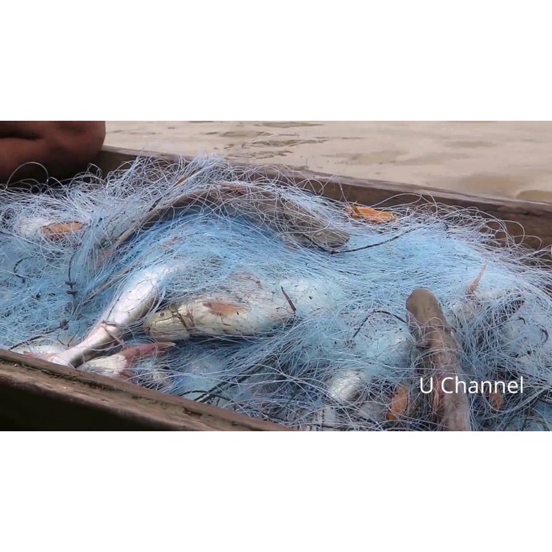 #ไหลมอง ดักปลา 18 เซ็นลึก 3.5 เมตร ‼️🅰️ ดักปลาน้ำโขง