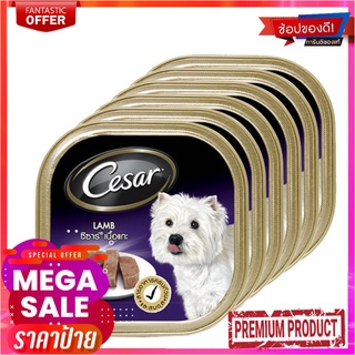 ซีซาร์ มัลติแพ็ค อาหารสุนัขชนิดเปียก รสเนื้อแกะ 100 กรัม X 6 แพ็คCesar Multipack Lamb 100 g x 6