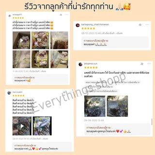 (พร้อมส่ง)ก๋วยจั๊บณวน แม่ฮาย1 อุบล เส้นสด เส้นแห้ง แท้100% ก๋วยจั๊บพร้อมทานห่อละ35บ.3ห่อ100บ.