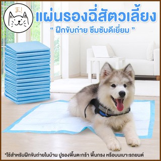 KUMA ま แผ่นรองฉี่สัตวเลี้ยง ซึมซับดีเยี่ยม แผ่นฝึกขับถ่าย แผ่นรองฉี่ แผ่นรองฉี่สุนัข แผ่นรองฉี่แมว Pee Pad Pet Training