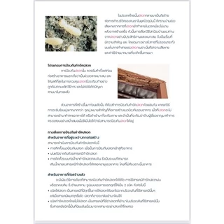 พรีมิส เอสซี 200 กำจัดปลวก สารเคมีกำจัดปลวก ยากำจัดปลวก ป้องกันปลวก