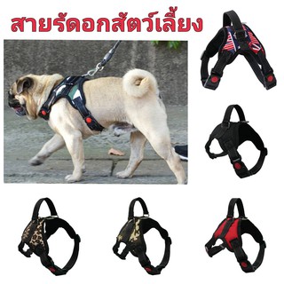 สายรัดอกสุนัข สายรัดอกหมา  สายจูงสุนัข สายรัดอกสัตว์เลี้ยง สายรัดอก มีSafety lock (ไซส์ XS-XL) V2 🚚ส่งฟรีใช้ร่วมกับคูปอง