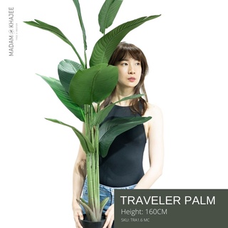 Traveler Palm ต้นทราเวลเล่อปาล์ม 160CM ต้นไม้ปลอมเกรดพรีเมี่ยม มาดามขจี ตกแต่งบ้าน Premium Artificial Plant