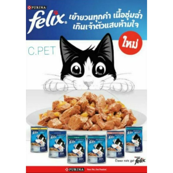 Cat Food 362 บาท felix เฟลิกซ์ 85 กรัม จำนวน 24 ซอง Pets