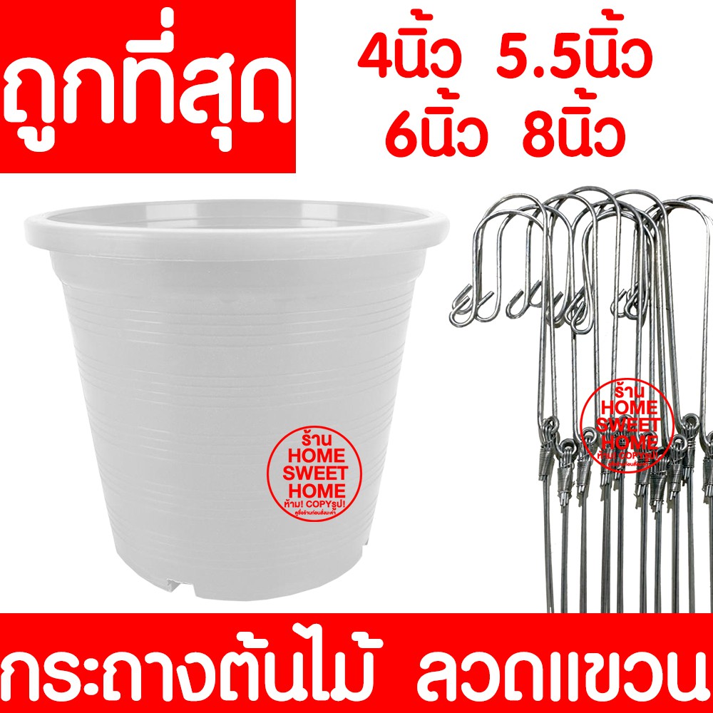 กระถางเพาะชำ กระถางต้นไม้ สีขาว ปลูกต้นไม้ ลวดแขวนกระถาง ลวดแขวนต้นไม้ เพาะปลูก กล้วยไม้ ต้นไม้ ฟองน้ำ 4/5.5/6/8 นิ้ว