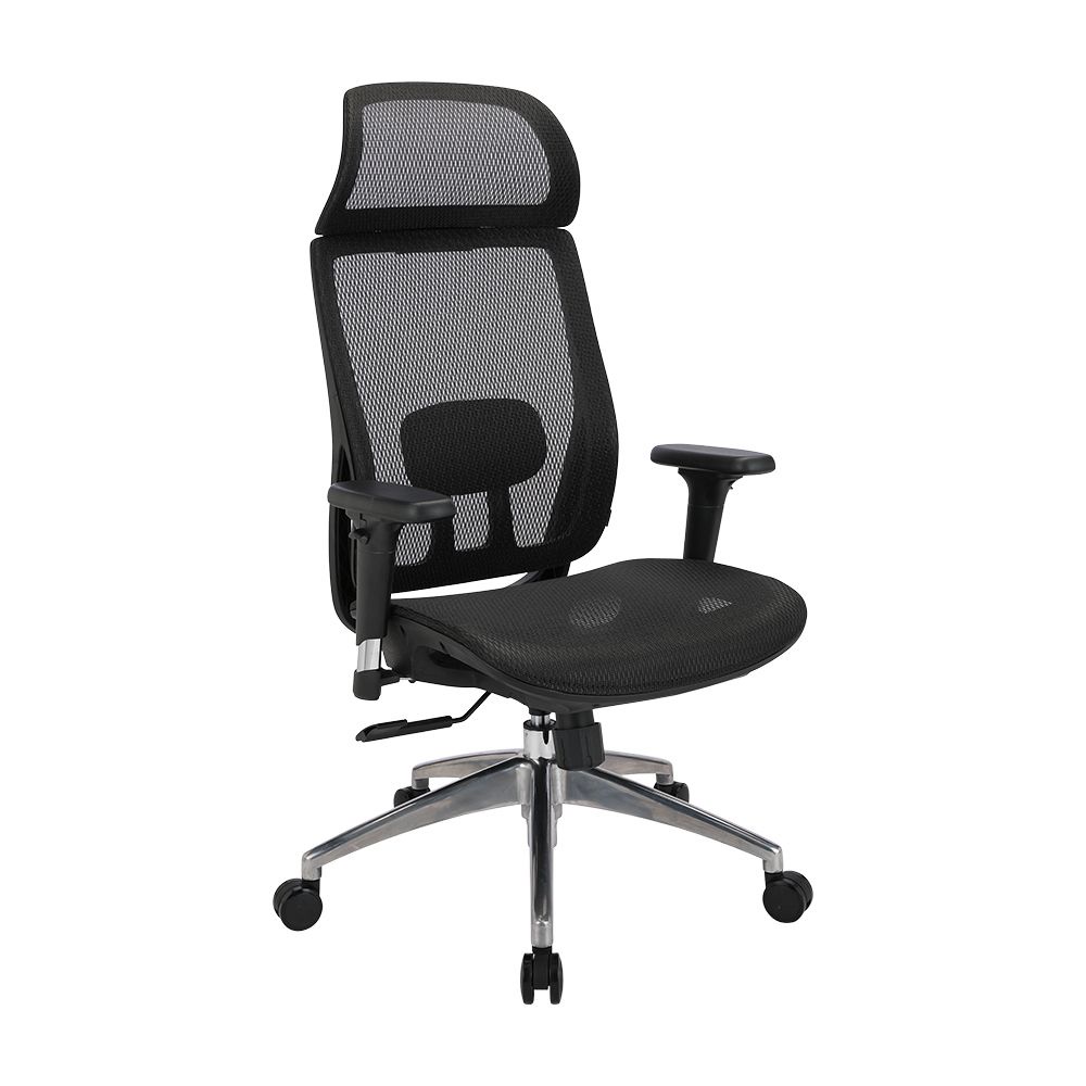 Review FULI X8 ErgoChair Pro Series 4 488 