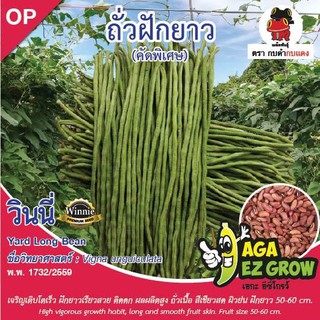 AGA SHOP เมล็ดพันธุ์ถั่วฝักยาว วินนี่