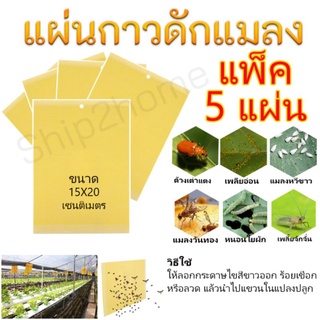 แผ่นกาวดักแมลงสีเหลือง แพ็ค 5แผ่น ขนาด 15x20 เซนติเมตร