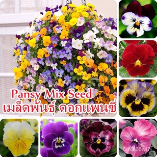 （เมล็ดพันธุ์ ถูก คละ）100Pcs เมล็ดพันธุ์ ดอกแพนซี่ Pansy Mix Seeds Bonsai Flower Seeds บอนสี เมล็ดดอกไม้ ไม้ดอก เมล็ดพันธ