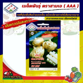 AAA 🇹🇭 ผักซอง A041# มันแกว พันธุ์สะเภาเมล็ดพันธุ์ เมล็ดพันธุ์ผัก  ผักสวนครัว ผักซองสามเอ