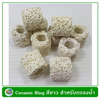 Ceramic Ring White colour Filter subtrate 15 kg.