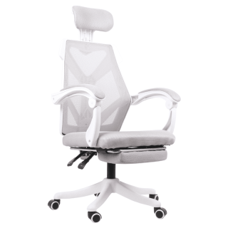 เก้าอี้สุขภาพ FULI X8 ErgoChair - White [เก้าอี้จำกัด ออเดอร์ละ 2 ตัวเท่านั้น]