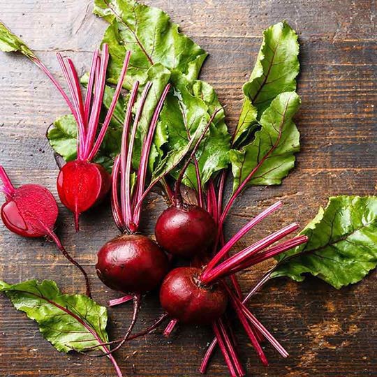 เมล็ดพันธุ์ หัวบีทรูท ดีทรอย (Detroit Dark Red Beet) บรรจุ 100 เมล็ด