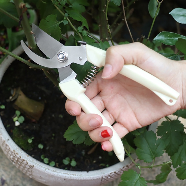 🎈พร้อมส่ง🎈กรรไกรตัดแต่งกิ่งไม้ แต่งกิ่งปากโค้ง และปากตรง แบบสเตนเลส ด้ามPE #D-0019