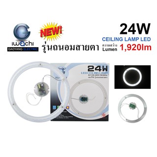 แผงไฟ (IWACHI) ราคาถูก LED CELL-MODULE-WH แสงขาว ขนาด 24W, 28W, 36W