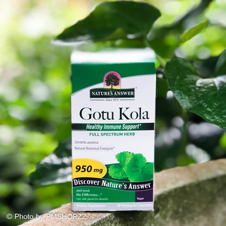 [พร้อมส่ง] Nature’s Answer, Gotu Kola 950 mg, 90 แคปซูล ใบบัวบก